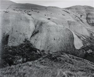 Image description is not available for 2012.025